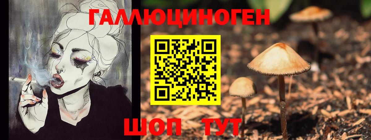 Галлюциногенные грибы Magic Shrooms Гурьевск
