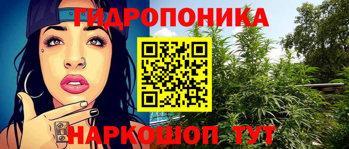 Бошки марихуана Amnesia  Марихуана гибрид  Бошки Шишки ГИДРОПОН  Гурьевск  Вход с VPN  Каннабис план 